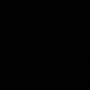 Meet your Posher, Noe